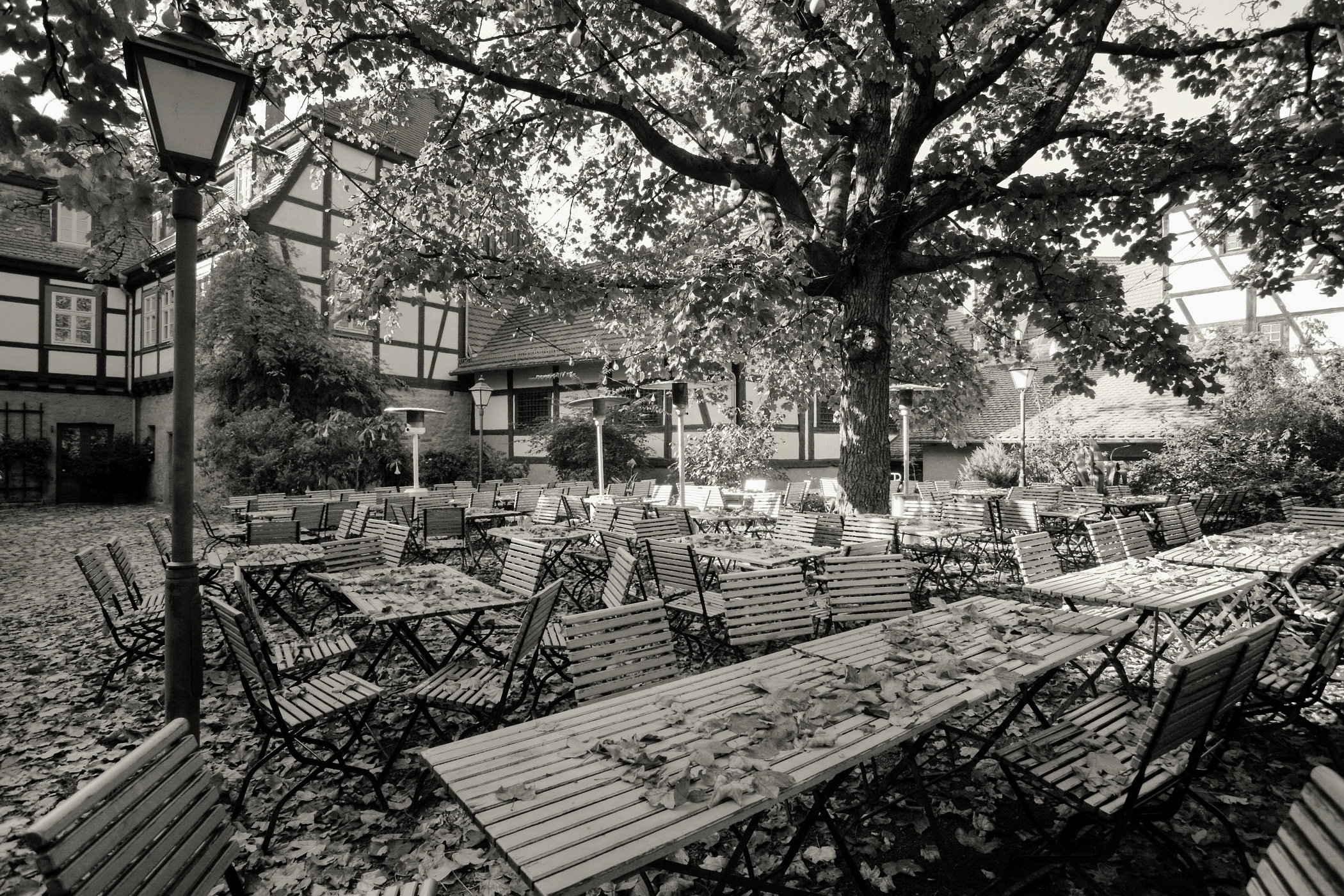 foto: erfurt | driesel